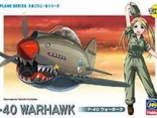 P-40 Warhawk Eggplane