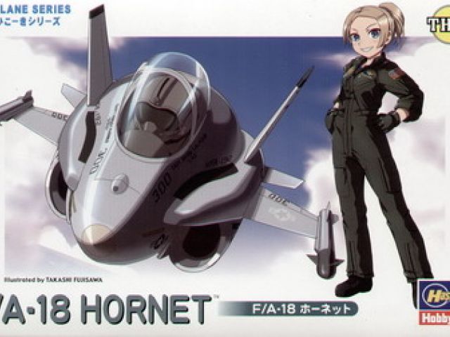 F/A-18 Hornet Eggplane