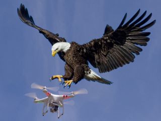 Letecká škola pro modely letadel, dronů, multikoptér