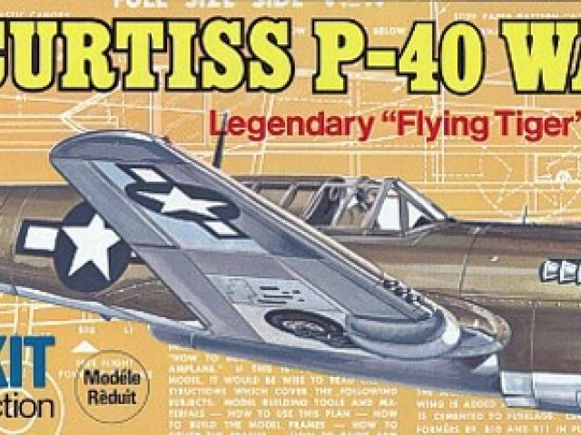Curtiss P-40 Warhawk (419mm)